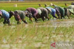 Pemkab Karawang siapkan program beasiswa khusus bagi anak petani