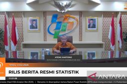 BPS: Penyesuaian BBM nonsubsidi picu inflasi transportasi 2,29 persen