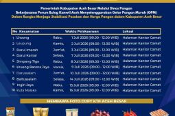 Pemkab Aceh Besar gelar pangan murah jaga daya beli