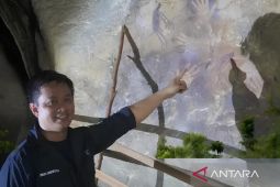 Tim verifikator geopark nasional akan nilai karst Sangkulirang--Mangkalihat
