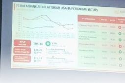 BBRMP Maluku manfaatkan data BPS pastikan program pertanian mengacu data terkini