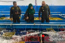 BKHIT Maluku awasi pelaku usaha tingkatkan kepatuhan karantina di Aru lewat edukasi dan dialog