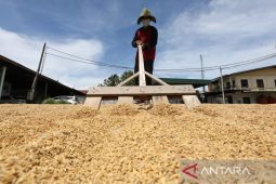 Bulog prioritaskan penggilingan rakyat guna perkuat ekonomi daerah