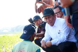 Kepala Bapanas: NTPP meningkat, petani benteng ketahanan pangan
