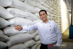 Mentan: Swasembada pangan kokoh seiring produksi beras 25,28 juta ton