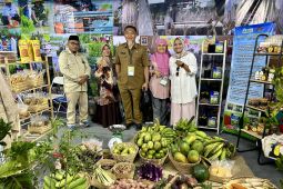 BPSDM: Kemandirian pangan jadi langkah jangka panjang tekan inflasi