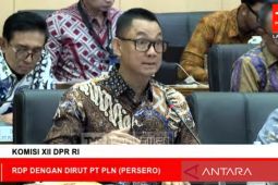 PLN pastikan tidak ada lagi pemadaman listrik di Jawa