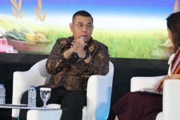 ATR/BPN targetkan 87 persen LBS jadi LP2B untuk kedaulatan pangan