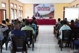 Tambrauw gelar pelatihan bagi peternak ayam petelur