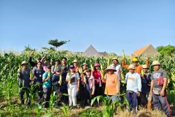 Pemkot garap lahan tidur hasilkan jagung Golden Boy