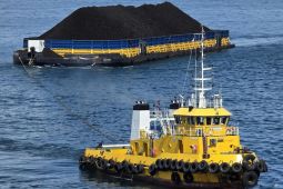 Pelni angkut 335 ribu ton batu bara dukung pasokan energi nasional