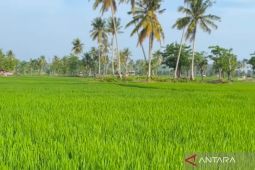 Mukomuko konsentrasikan mitigasi kekeringan pada sawah tadah hujan