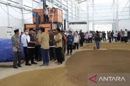 RPB Desa Loleng siap pasok pakan murah bagi peternak di Kaltim