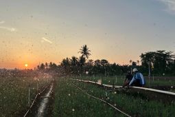 PLN siap jalankan kebijakan pemerintah dan jaga kualitas layanan