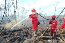 BNPB tangani karhutla ribuan hektare di 3 provinsi prioritas