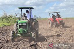 Mentan Amran kawal cetak sawah dan oplah di Tanah Papua 137 ribu ha