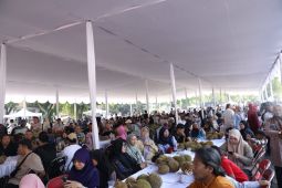 Gubernur Babel hadirkan 15.000 buah durian Kelekak di Jogja Expo Center