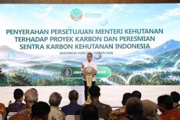 Menko Pangan: Pasar karbon harus memberi manfaat bagi masyarakat hutan