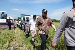 Pemkab Kediri gandeng Pertamina dan PLN jaga pengairan lahan pertanian