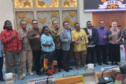 DPR RI bentuk tim investigasi dampak tailing Freeport