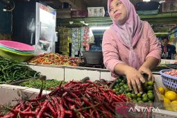Harga pangan Senin ini, cabai rawit Rp62.100/kg dan telur ayam Rp29.250/kg