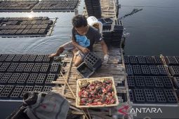 Kemendag rangkum transaksi 135 juta dolar AS dari "business matching "