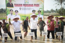 Aceh Tamiang mulai tanam padi perdana pascabencana