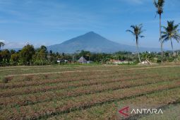 Pemkab Garut mitigasi kekeringan tanaman pangan akibat kemarau