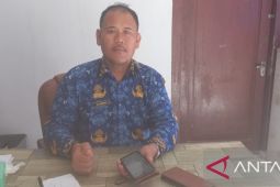 Pemkab Bangka tingkatkan layanan petani menggarap padi sawah