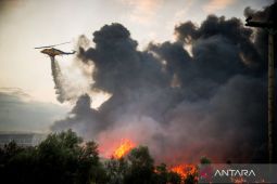 Yunani hadapi puncak gelombang panas 41 derajat, risiko kebakaran mengintai