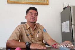 BPBD Babel tangani karhutla seluas 16 hektare
