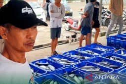 DKP Kaltim bangun fasilitas cold storage jamin mutu tangkapan nelayan
