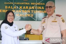 BKHIT dan BPPMHKP Maluku perkuat daya saing produk perikanan unggulan