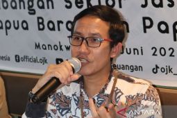 OJK sebut penyaluran kredit perbankan di Papua Barat dan PBD Rp19,31 triliun