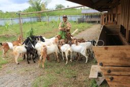 DPMG catat 63 BUMdes di Aceh masuk kategori maju