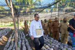 Kementan siapkan hilirisasi komoditas perkebunan di Nabire