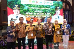 Ria Norsan usulkan DBH sawit Rp100 per kilogram TBS