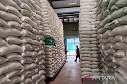 Bulog Sumut terima 18.000 ton beras perkuat kebutuhan masyarakat