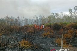 Polda: Personel lakukan penanganan cepat karhutla di Distrik Tomage Fakfak