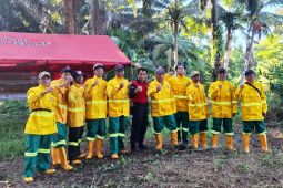 Dishut Kaltim libatkan MPA cegah Karhutla di tengah tingginya titik panas