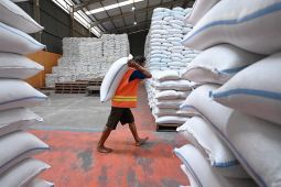 Bapanas pastikan IPH beras masih terkendali seiring stok 5,2 juta ton
