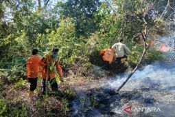 BNPB: Penyebab karhutla di Padang Lawas Utara dalam penyelidikan
