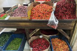 Harga cabai rawit Rp61.450/kg, telur ayam Rp29.050/kg per Kamis pagi