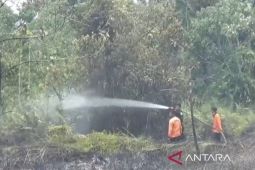 BPBD: Kebakaran lahan di Muaro Jambi meluas jadi lima titik