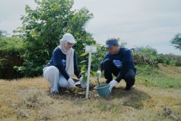 Pertamina EP Rantau Field tanam ratusan pohon dukung energi berkelanjutan