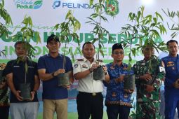 Imigrasi Belawan dukung penghijauan untuk Belawan yang lebih asri