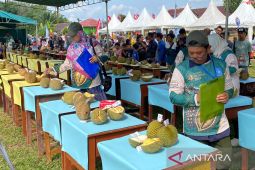 Pemprov Babel lestarikan plasma nuftah durian lokal melalui kontes