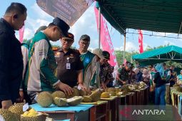 Pemprov Babel manfaatkan kontes durian untuk promosi desa wisata