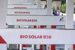 B50 proves agricultural sector's readiness for energy security: govt