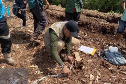 Bocah di Riau tewas dimangsa harimau di camp perkebunan